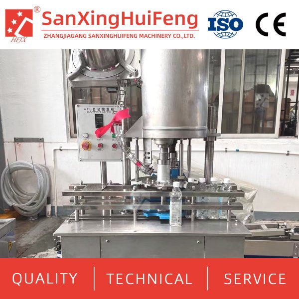 Low-cost small-capacity linear beverage filling machine production line - Image 4